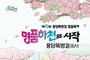 순천시 삼산동, 제10회 용당뚝방길 벚꽃축제 개최